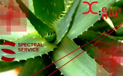 ARTE @ Spectral Service – Aloe Vera, a medicinal plant?