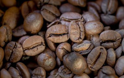 Coffee – Arabica or Robusta, who are you?