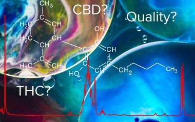 To CBD, or not to CBD, that is the question