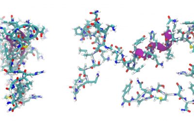 13C NMR analysis of peptides and amino acids