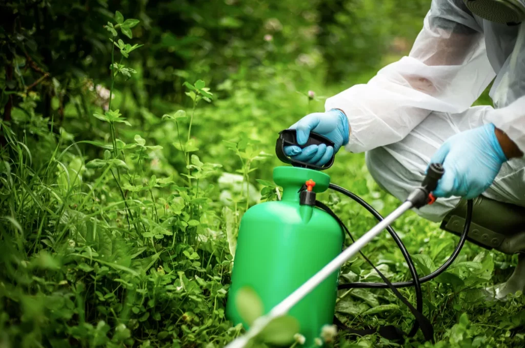 Pesticide